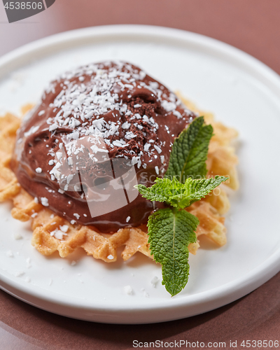 Image of Crispy wafer with a scoop of chocolate ice cream decorated with green mint leaves and coconut chips in a plate on a brown glossy background with space for text. Cold dessert. Top view