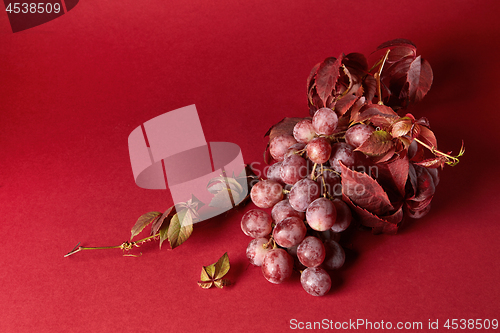 Image of bunch of ripe red grapes