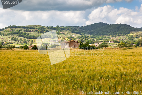 Image of landscape mood in Italy Marche