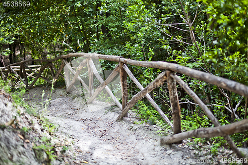 Image of Walkway lane path with handrail in green trees in summer forest.