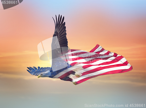 Image of Double exposure effect of north american bald eagle on american 