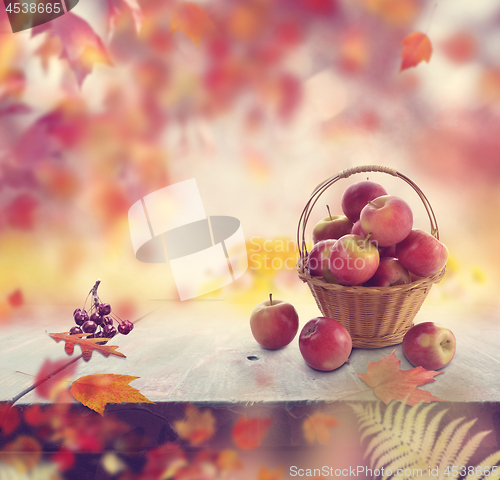 Image of red apples in a basket and autumn leaves