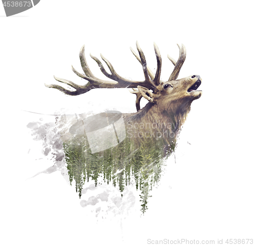 Image of Deer and Forest. Watercolor Double Exposure effect on white back