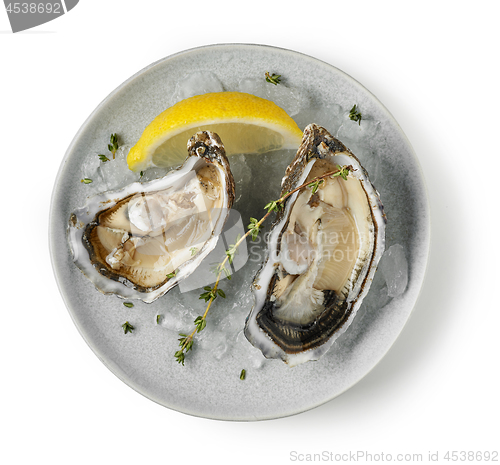 Image of plate of fresh oysters on white background