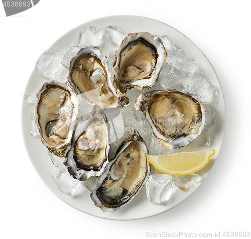 Image of plate of fresh oysters on white background