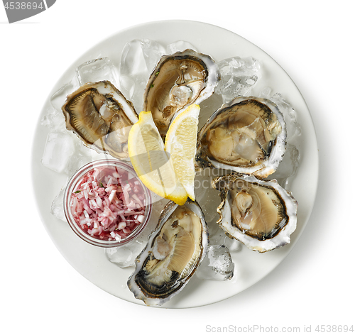 Image of plate of fresh oysters on white background