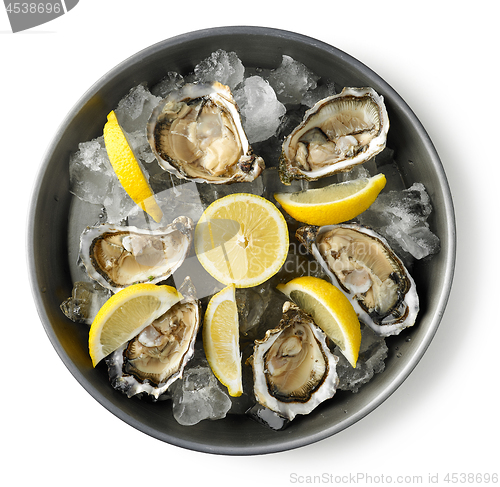 Image of plate of fresh oysters on white background