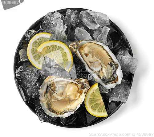 Image of plate of fresh oysters on white background