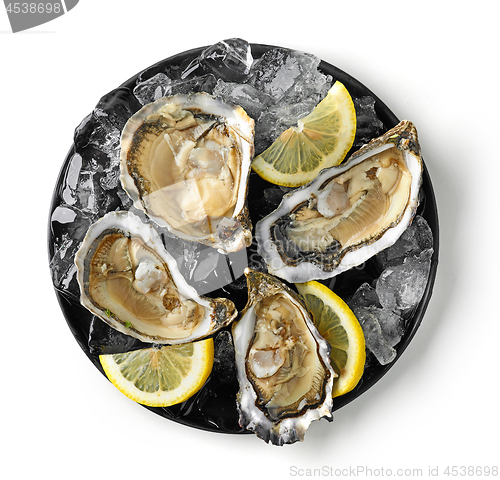 Image of plate of fresh oysters on white background