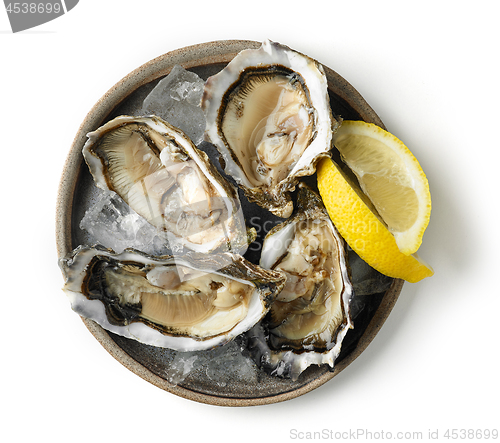 Image of plate of fresh oysters on white background