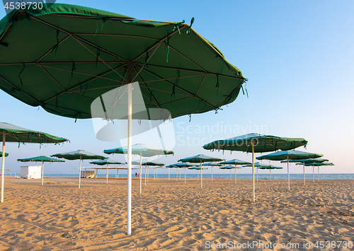 Image of Opened sunshades of a deserted sandy beach at sunset