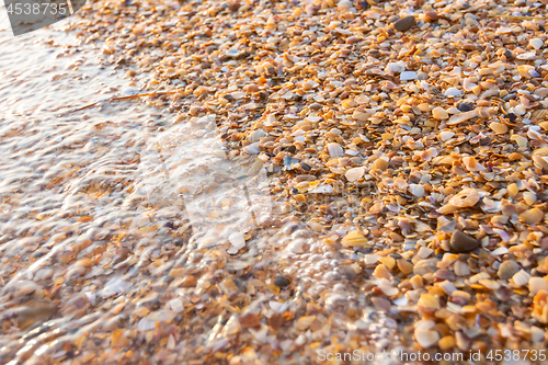 Image of The wave washes small multi-colored sea shells on the sea beach