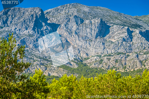 Image of Biokovo mountain nature park and trees from Makarska Riviera, Dalmatia