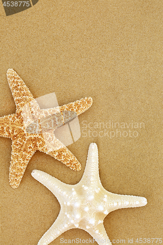 Image of Starfish Seashells on Sand