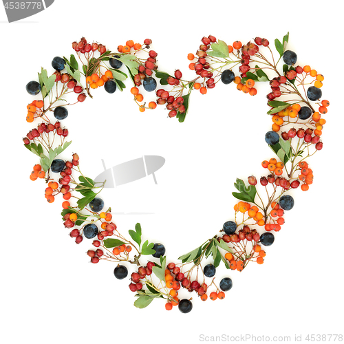 Image of Heart Shaped Autumn Berry Wreath