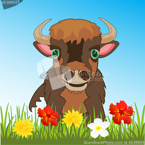 Image of Ungulate animal bison on green meadow with flower