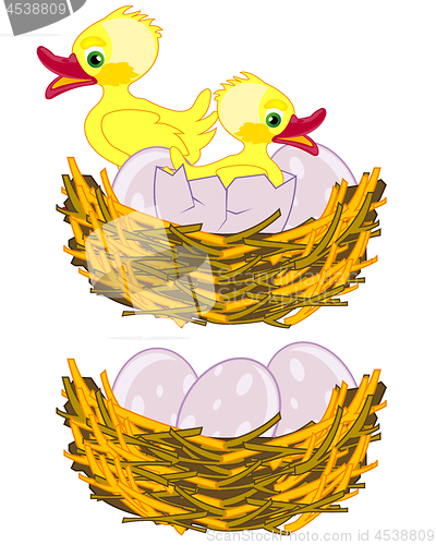 Image of Vector illustration jack with egg and nestling