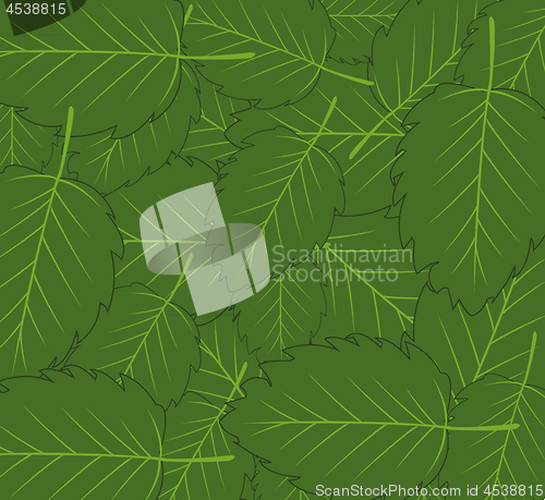 Image of Colorful decorative background from green year foliage