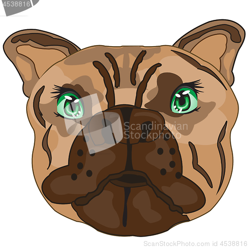 Image of Vector illustration of the mug of the dog bulldog