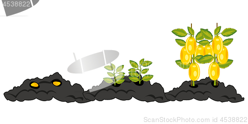 Image of Growing vegetables from boarding seed before harvest