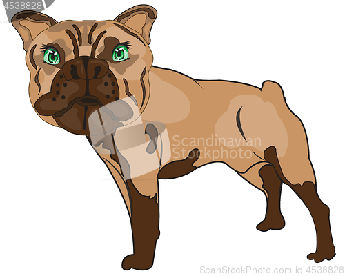 Image of Vector illustration pets dogs of the sort bulldog