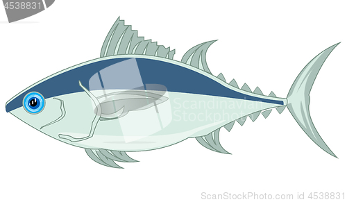 Image of Fish tunny on white background is insulated