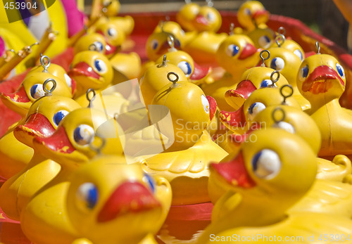Image of lots of rubber ducks