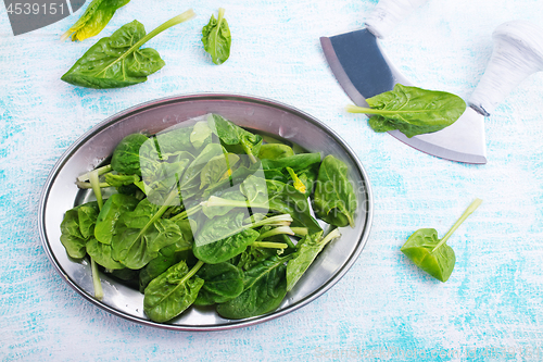 Image of spinach