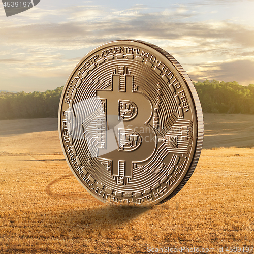 Image of Gold coin bitcoin on a background of a field