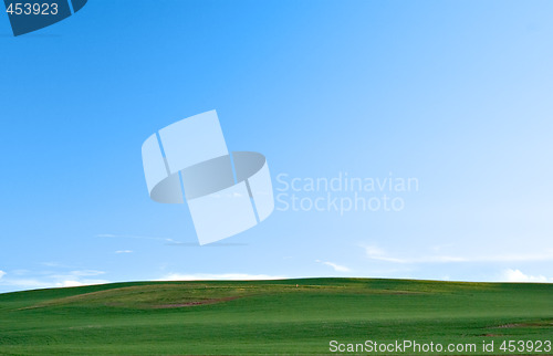 Image of green fields and sky