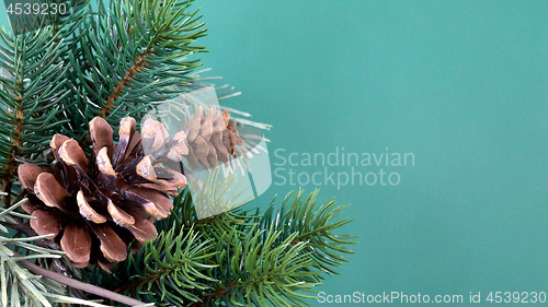 Image of twig with pine cones background