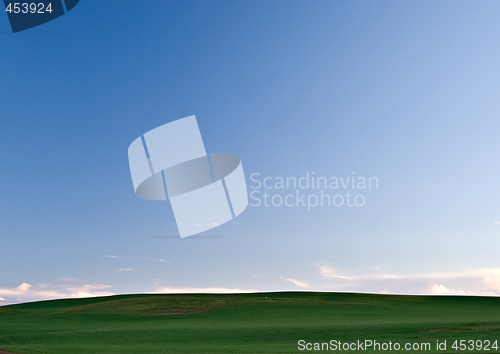 Image of green fields and sky