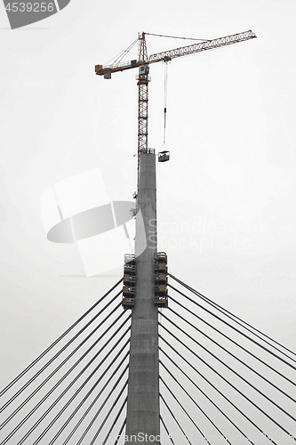 Image of Pylon Bridge Construction