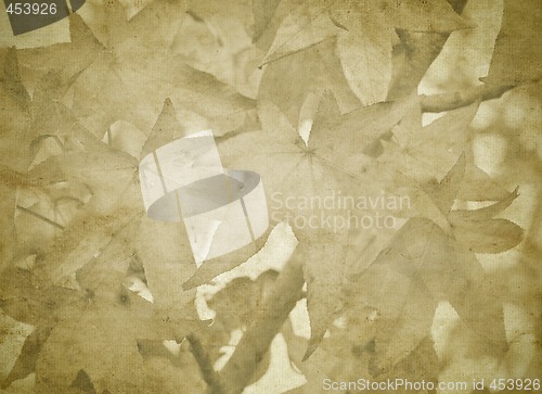 Image of old paper with fall leaves
