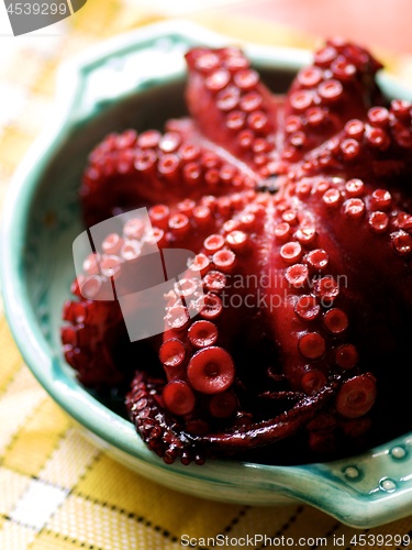 Image of Delicious Roasted Octopus