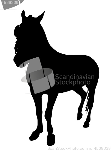 Image of Horse silhouette