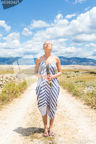 Image of Caucasian young woman in summer dress holding bouquet of lavender flowers enjoying pure Mediterranean nature at rocky Croatian coast lanscape on Pag island in summertime