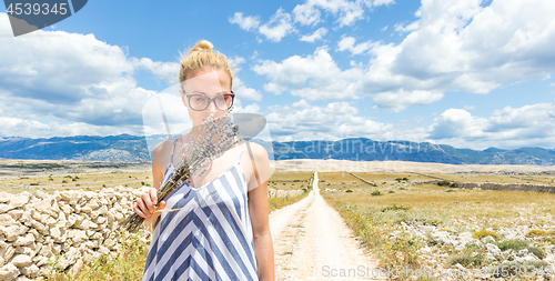 Image of Woman in summer dress holding and smelling bouquet of lavender flowers while walking outdoor through dry rocky Mediterranean Croatian coast lanscape on Pag island in summertime