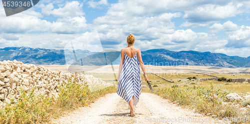 Image of Rear view of woman in summer dress holding bouquet of lavender flowers while walking outdoor through dry rocky Mediterranean Croatian coast lanscape on Pag island in summertime