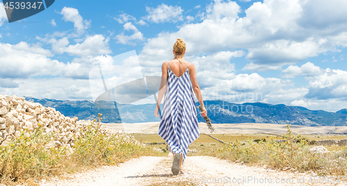 Image of Rear view of woman in summer dress holding bouquet of lavender flowers while walking outdoor through dry rocky Mediterranean Croatian coast lanscape on Pag island in summertime