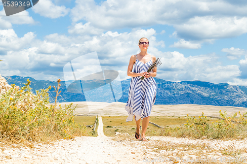 Image of Caucasian young woman in summer dress holding bouquet of lavender flowers while walking outdoor through dry rocky Mediterranean Croatian coast lanscape on Pag island in summertime