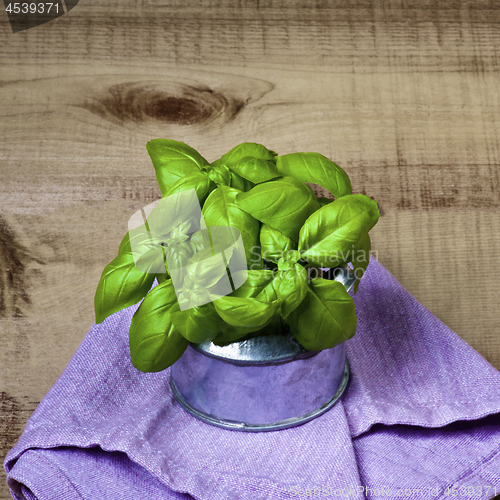 Image of Bunch of Green Basil