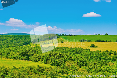 Image of Forest and Fields