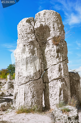 Image of The Stone Desert