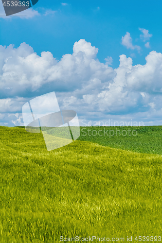 Image of Green Field