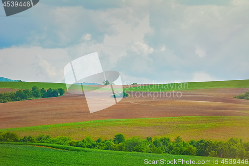 Image of Fields under Sky