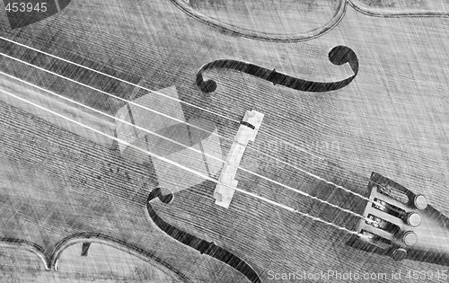 Image of cello or violin