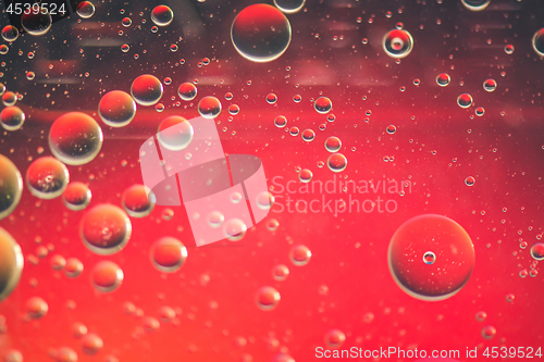 Image of Red abstract background picture made with oil, water and soap