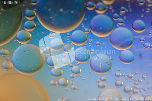 Image of Multicolored abstract background picture made with oil, water and soap