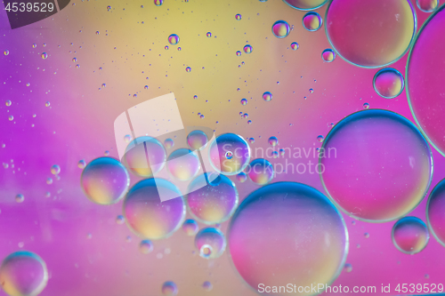 Image of Defocused multicolored abstract background picture made with oil, water and soap